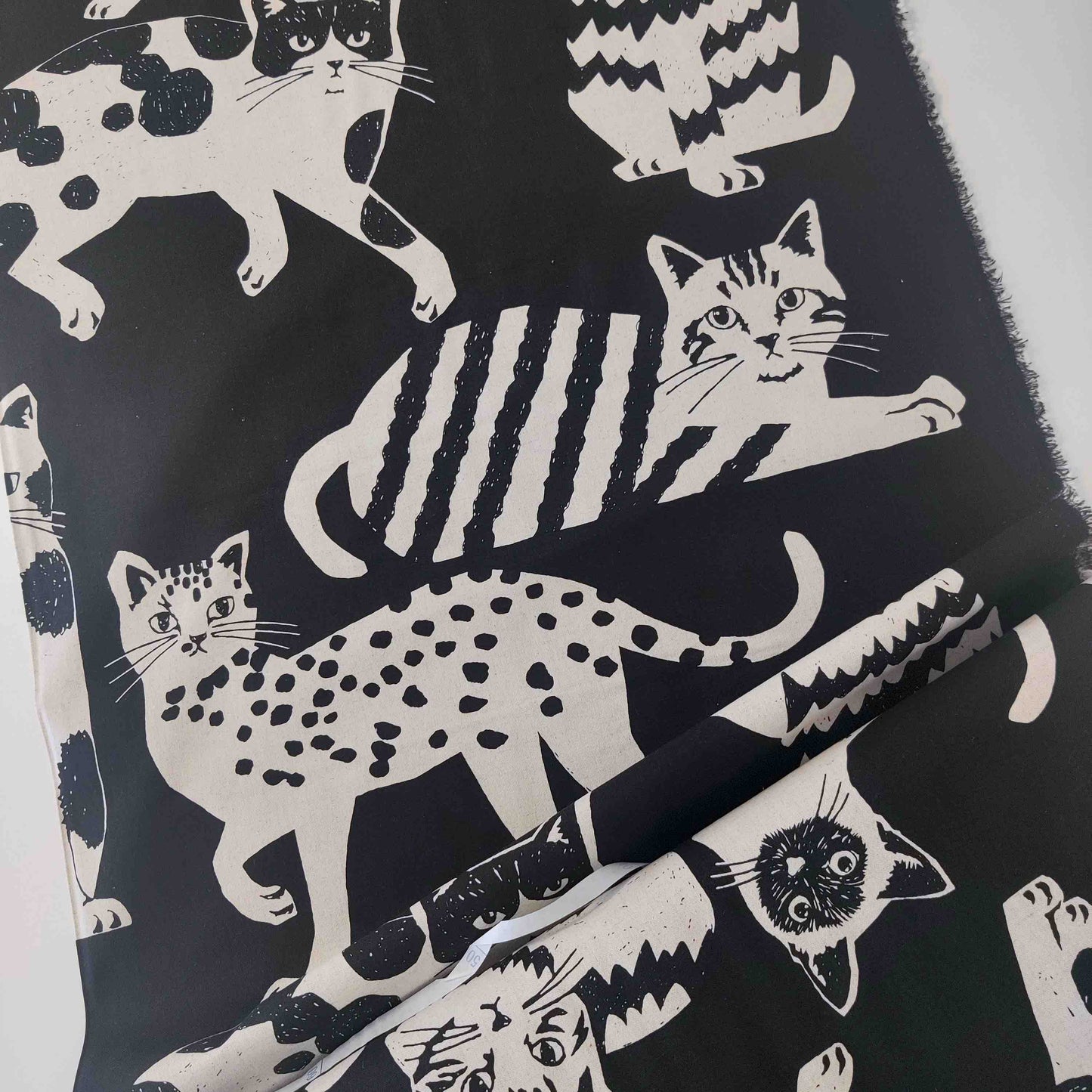 Canvas NekoNoe echino CAT CAT