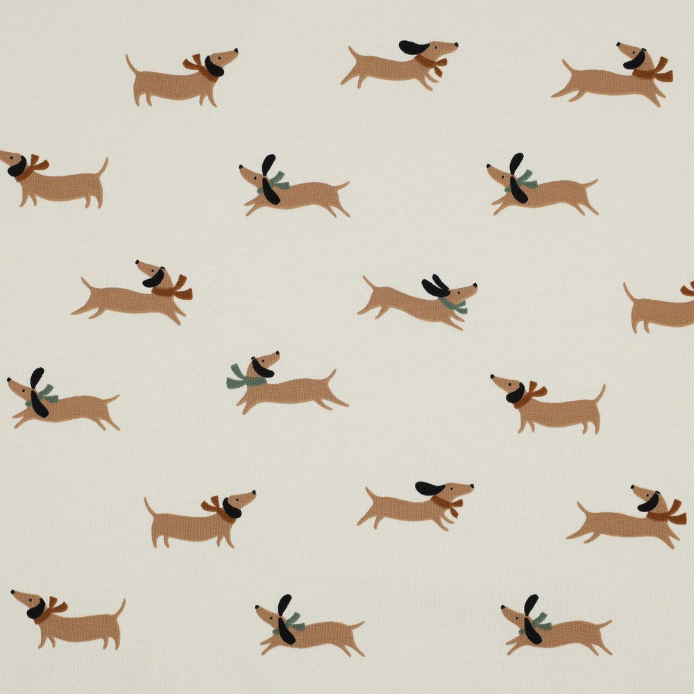 Jersey Dachshund / Dackel
