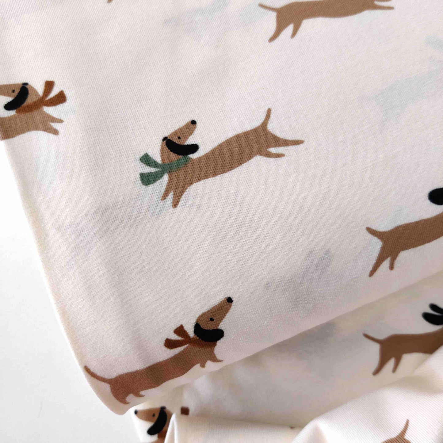 Jersey Dachshund / Dackel
