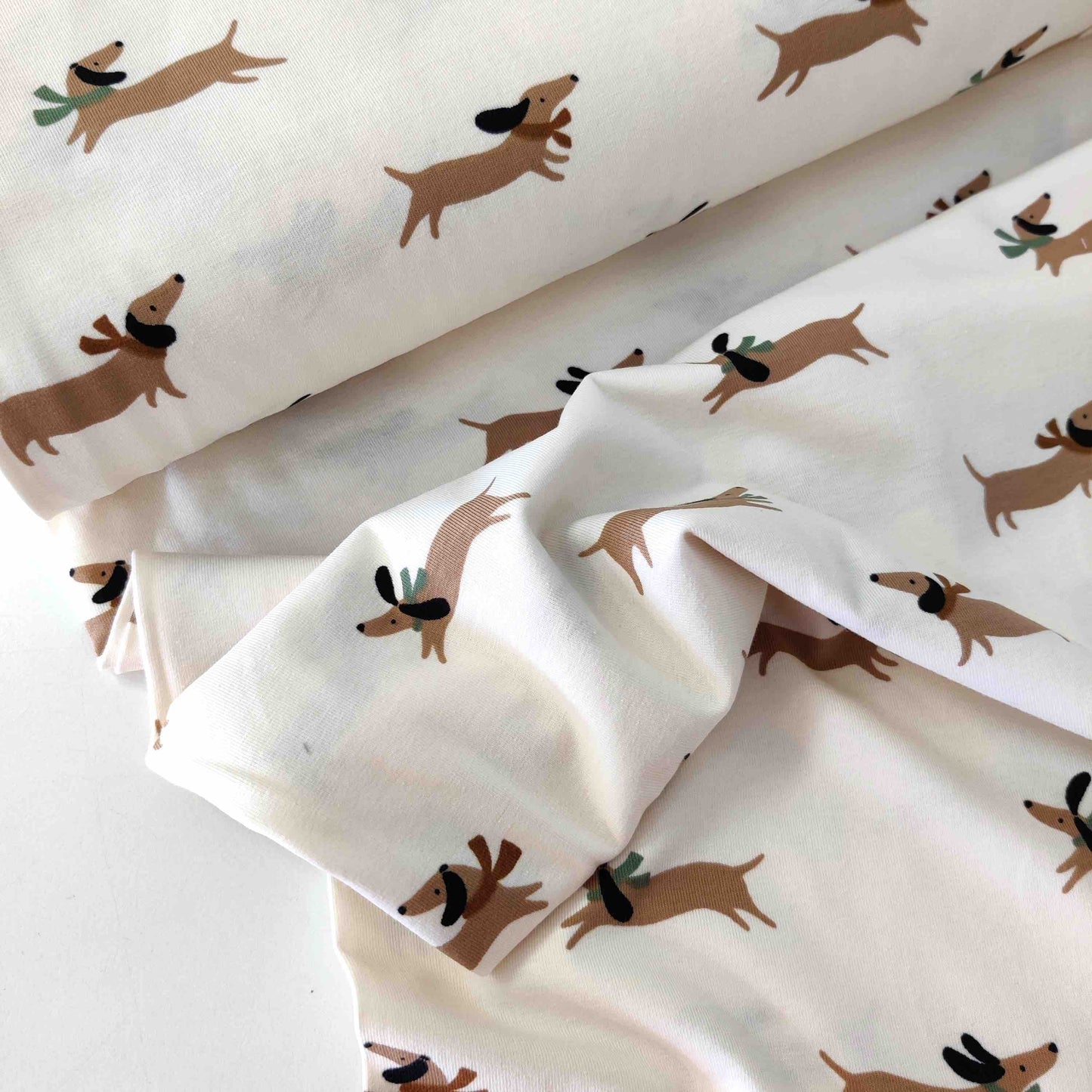 Jersey Dachshund / Dackel