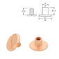 Buchschraube mit 10 mm Durchmesser und 4 mm Höhe in roségold