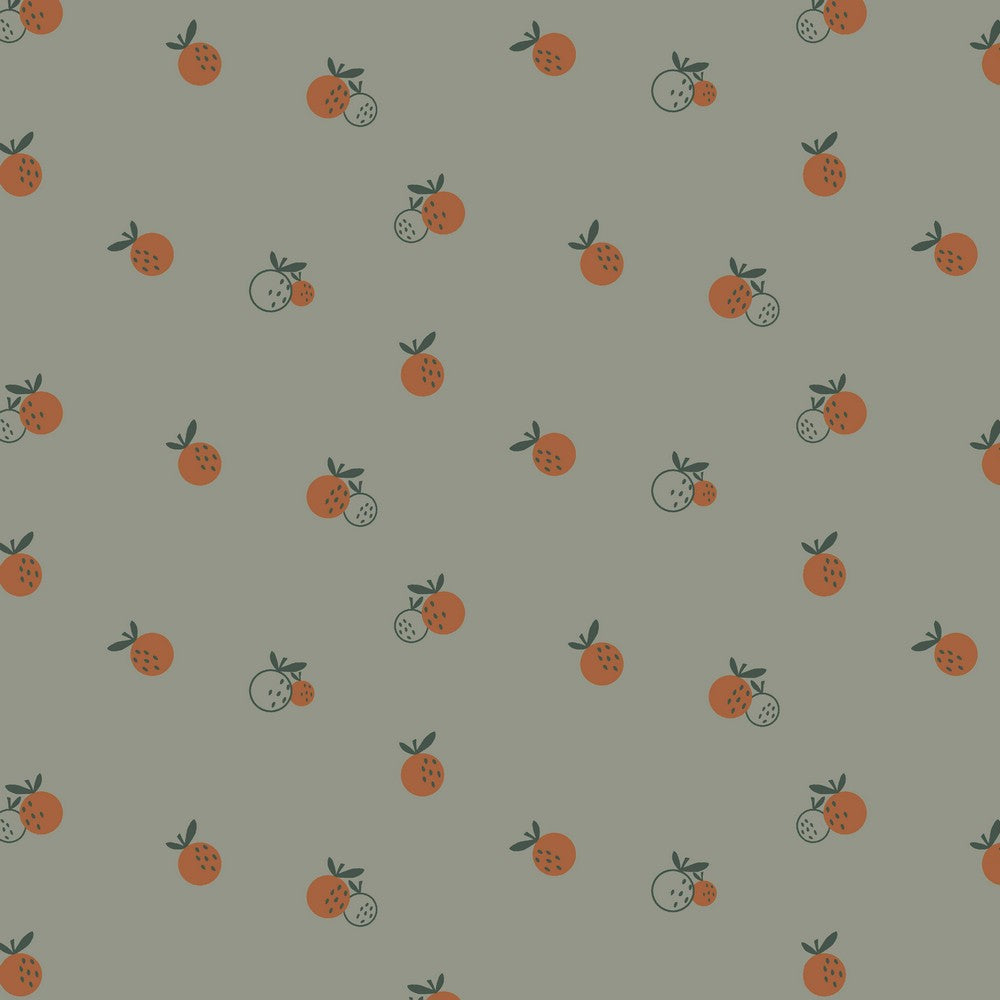 Bio-Jersey Fruit / Orangen
