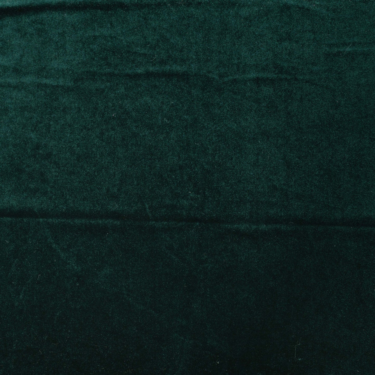 Veloursstoff Samt Kitty grün - kikkomo