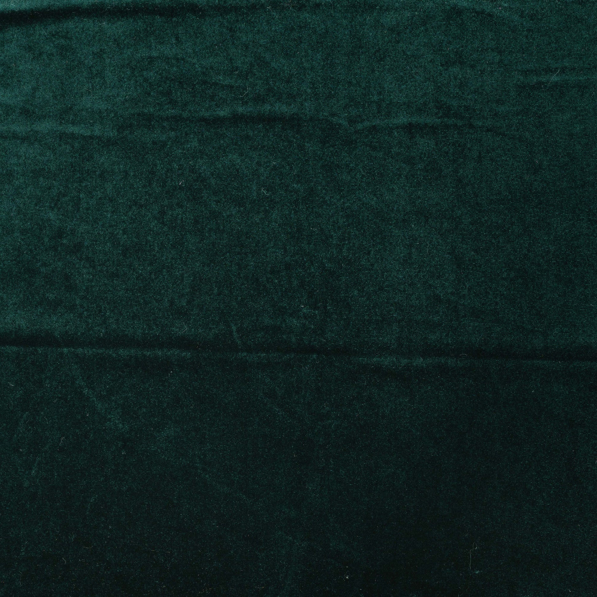 Veloursstoff Samt Kitty grün - kikkomo